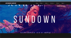 Desktop Screenshot of levinsongroup.com